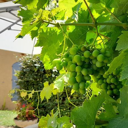 Hotel Des Vignes Juliénas Eksteriør bilde