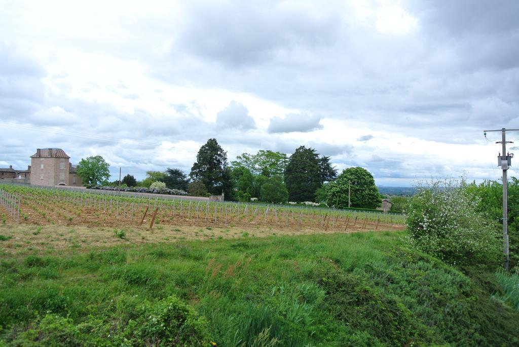 Hotel Des Vignes Juliénas Eksteriør bilde