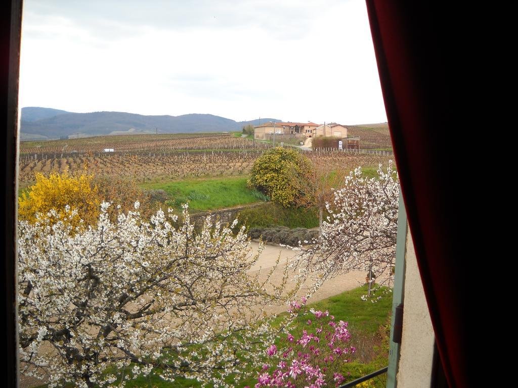 Hotel Des Vignes Juliénas Eksteriør bilde